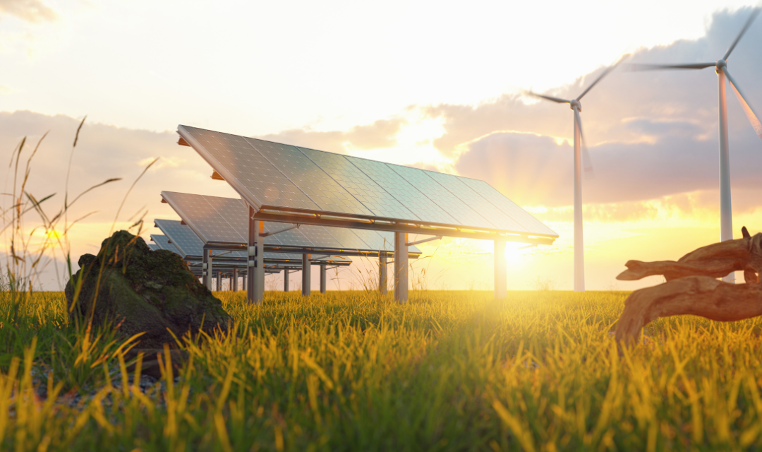 Solar panels and wind turbines in a field at sunset