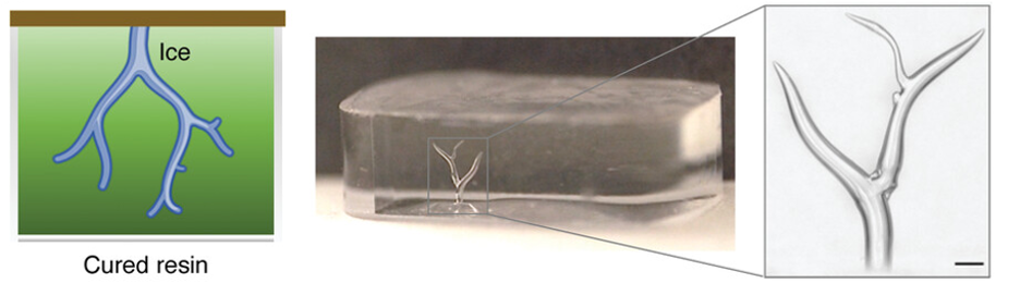 A series of three images: the first is clipart and shows the cured resin with the ice shape removed. The second shows this in actuality instead of clipart. The third shows the 3d printed ice sculpture.