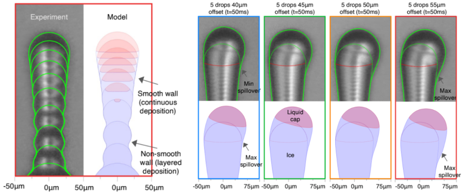 Technical graphic showing the differences in size between the experiment and the model.