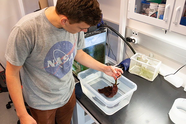 A student showing one of the sea slugs