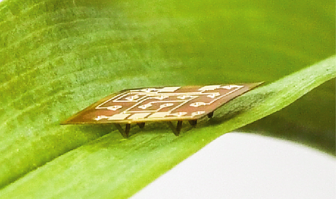 Picotaur, a micro robot