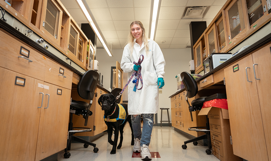 Mathias works in the lab alongside a dog she is training to be a service animal.  