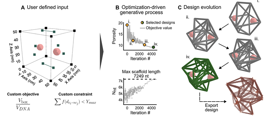 The software inputs user constraints into a bounding box before the shape annealing optimization process produces graphs for design solutions before a visual design is output.