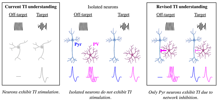 Illustration showing the progression of TI stimulation understanding