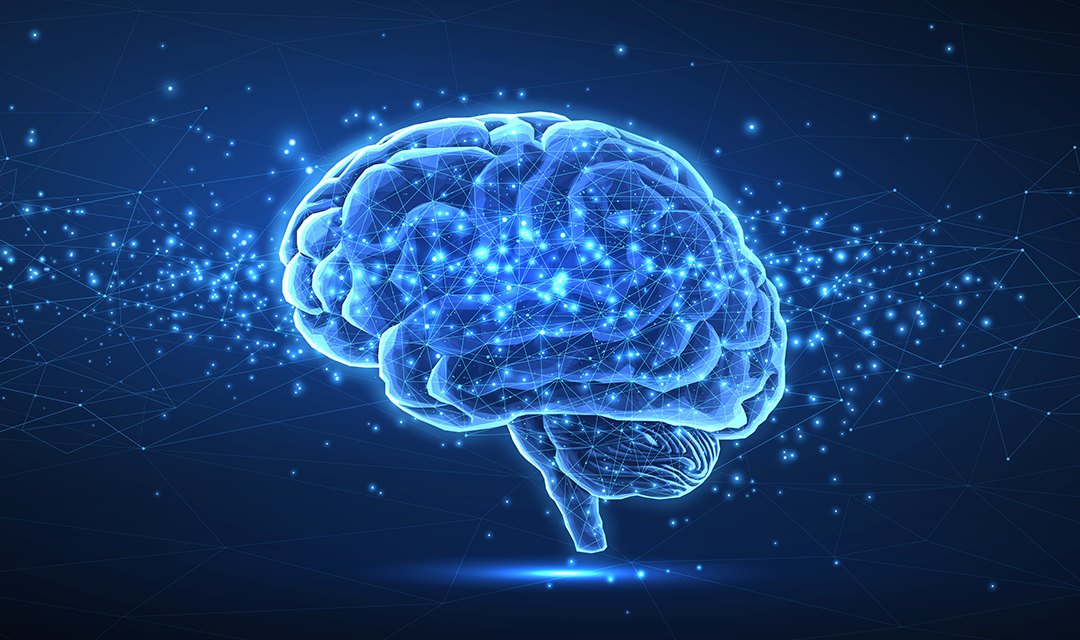 An artistic rendition of a brain