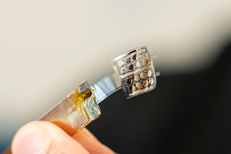 The sensor array