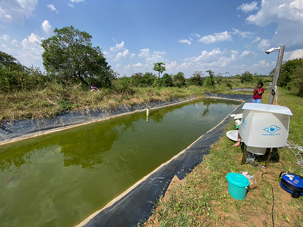 A small, enclosed, rectangular pond with some equipment to the right and a person in the background