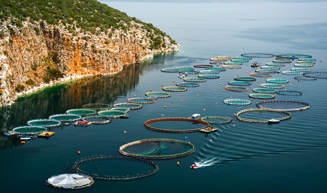 Fish farm off the coast of land