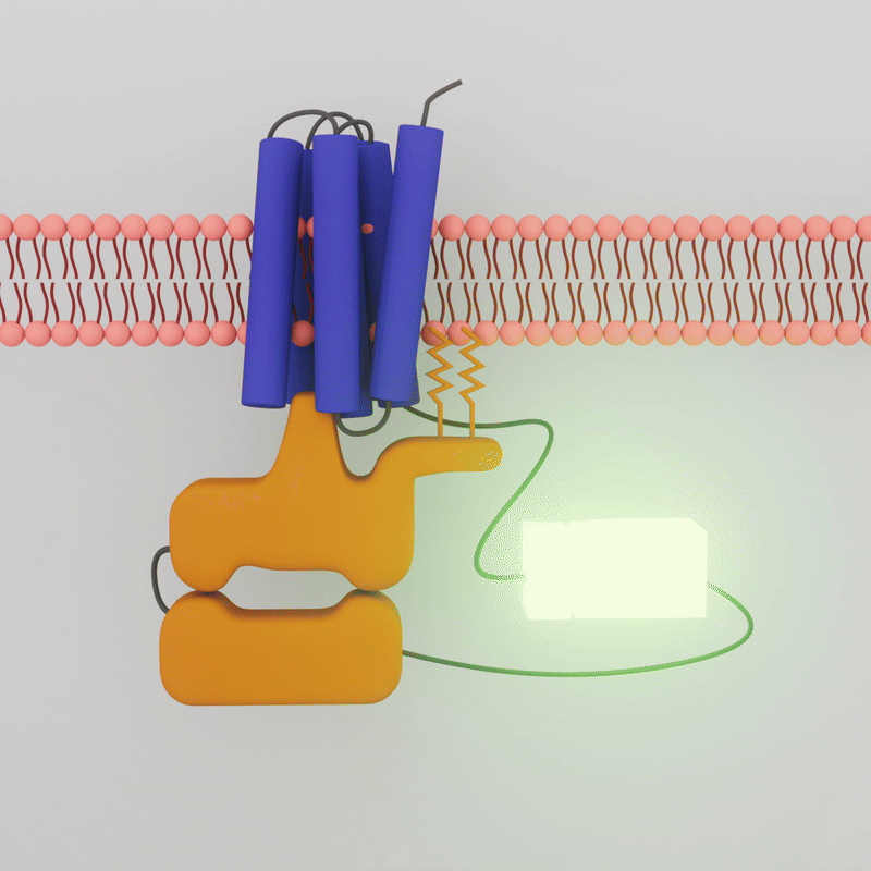 animation of scientific process