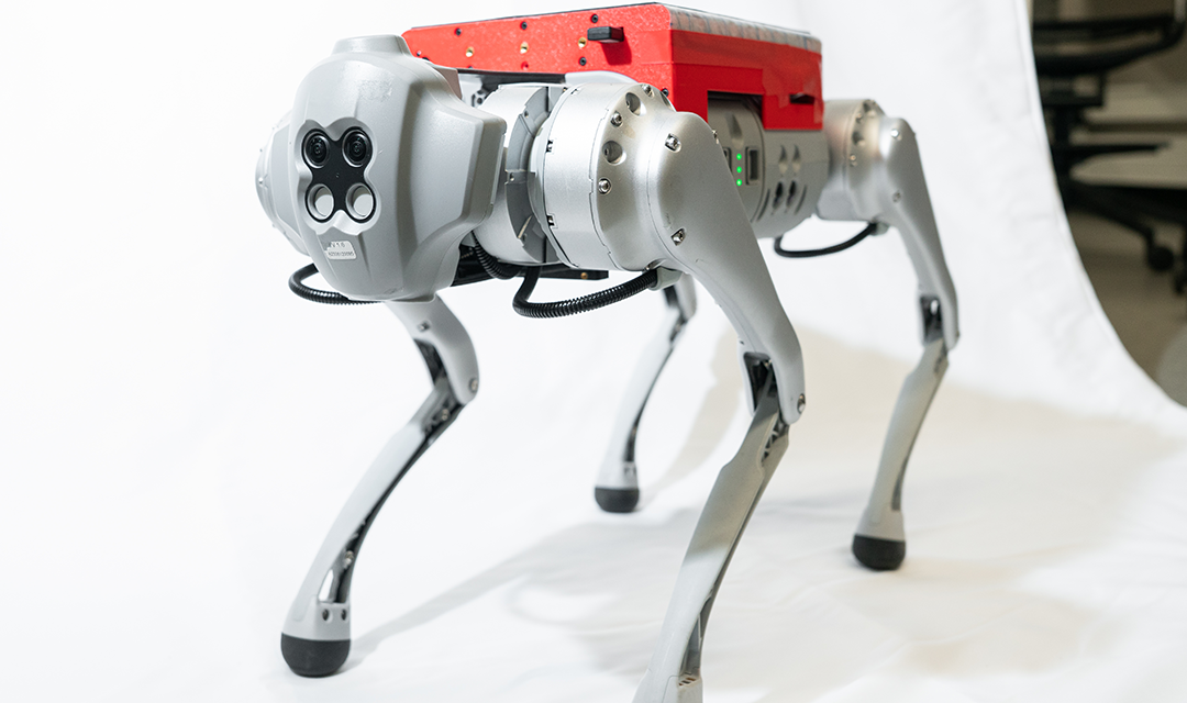 Locotouch, a new quadrupedal system with tactile sensing