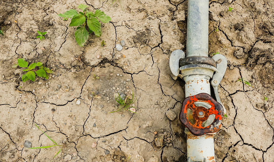 A water pipe on dry, cracked land with some green growth