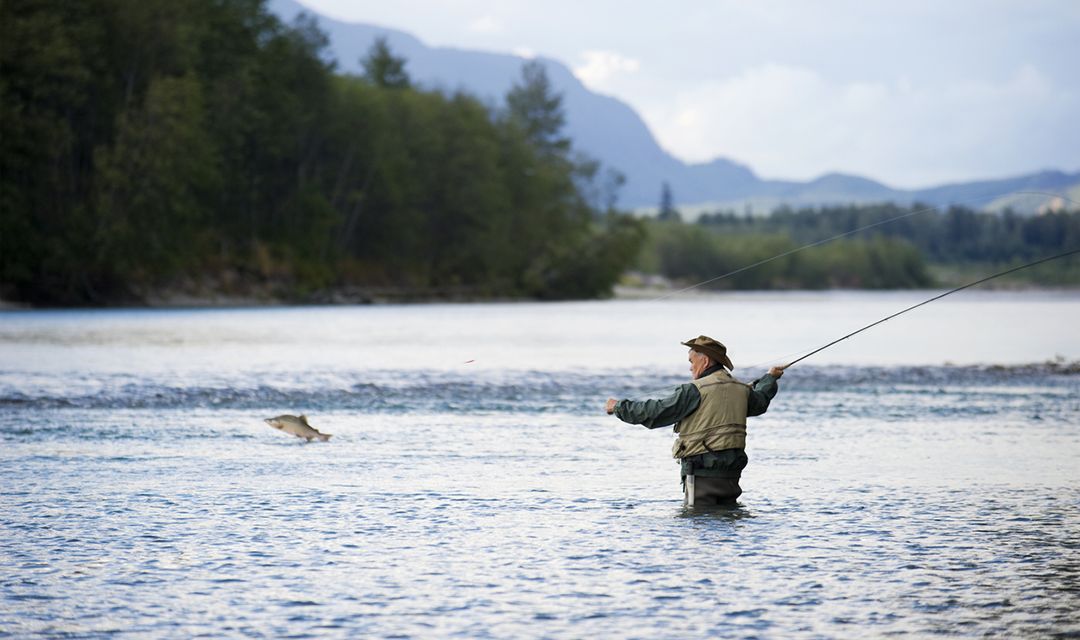 A person fly fishing in a river