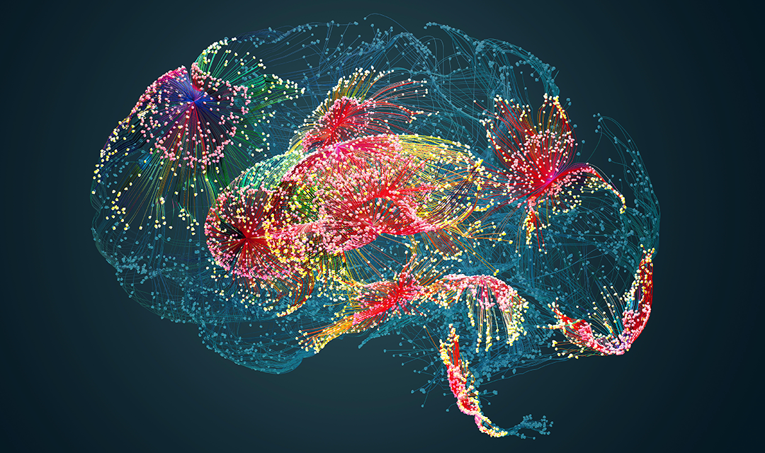 Illustration of a brain with different color representing brain interactions