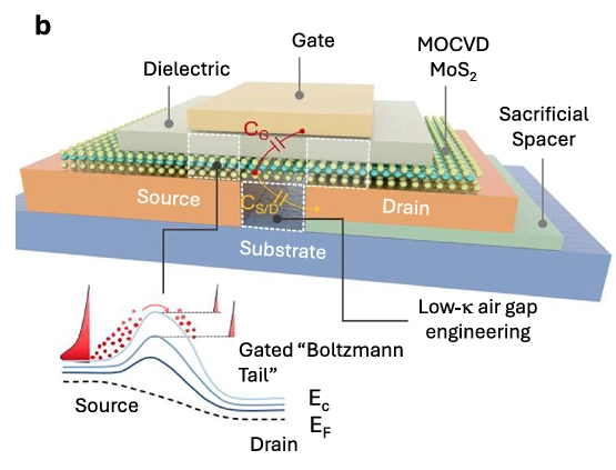 Annotated 3D schematic of a MoS2 transistor showing source, drain, gate stack, dielectric, and a sacrificial spacer creating a low‑k air gap, with an inset energy-band diagram from source to drain.