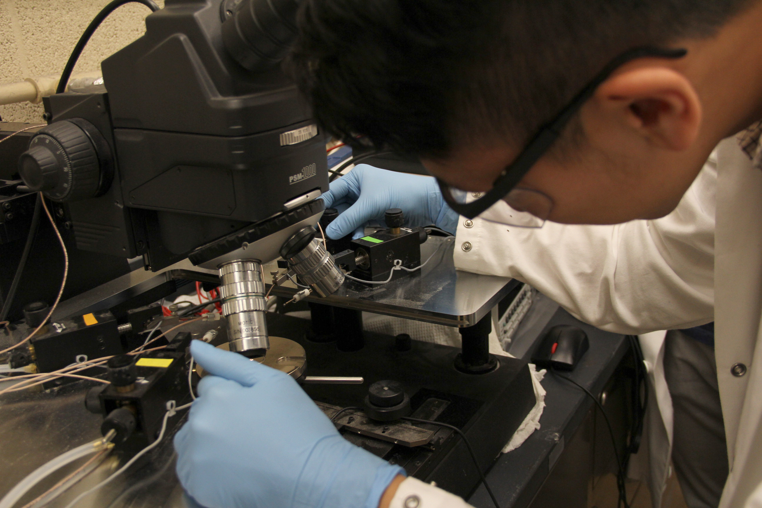 student on microscope