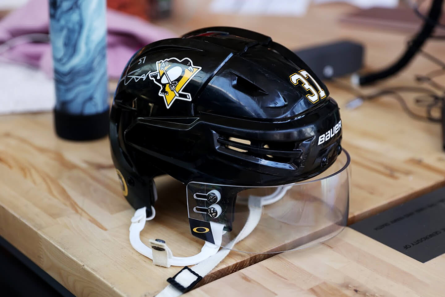 Penguins helmet