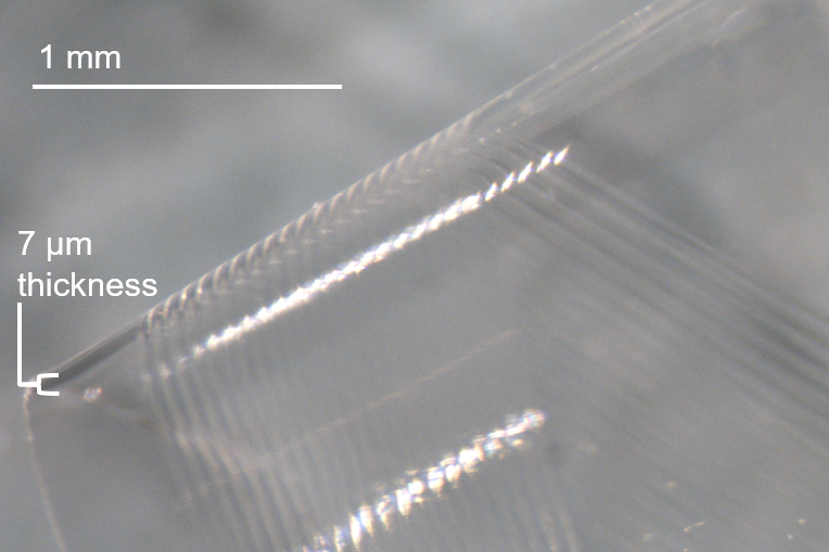 parylene waveguides