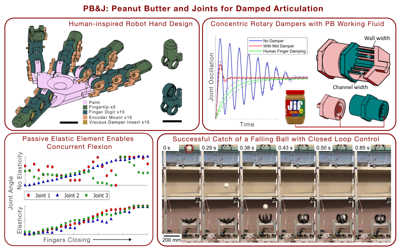 A graphical abstract