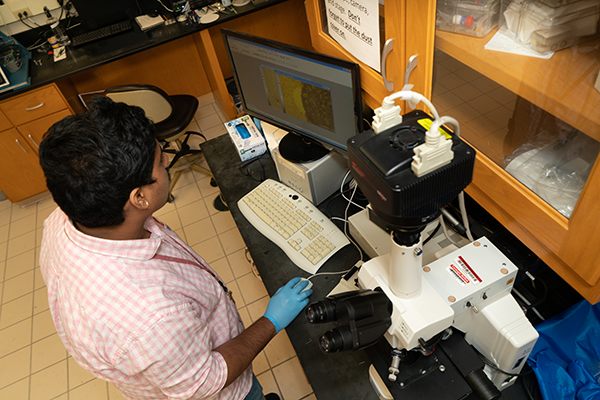 researcher working at optical microscope