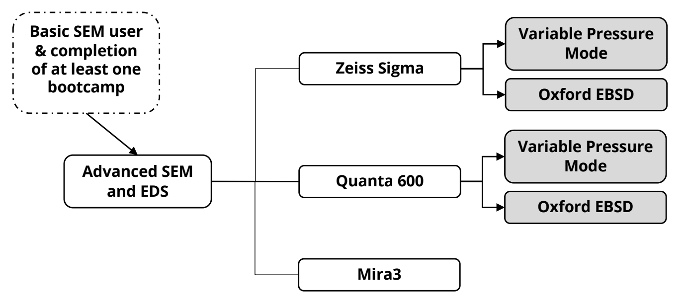 flow chart showing progression of training to use the Sigma SmartSEM Touch tool, as described in tables throughout the rest of the page
