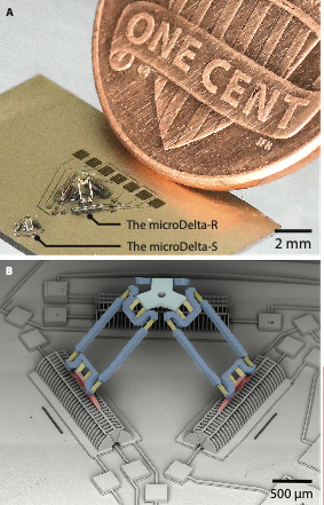 Shows the scale of how small the robots are: they are a fraction of the size of a penny