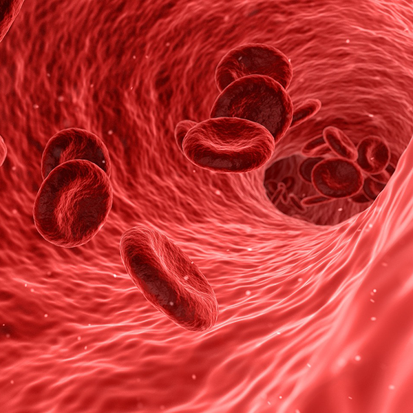 Blood cells