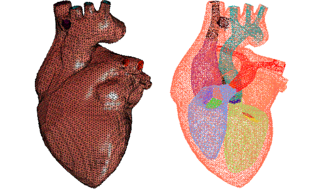 Images of modeling the heart