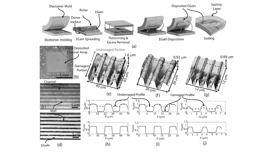 Graphical abstract