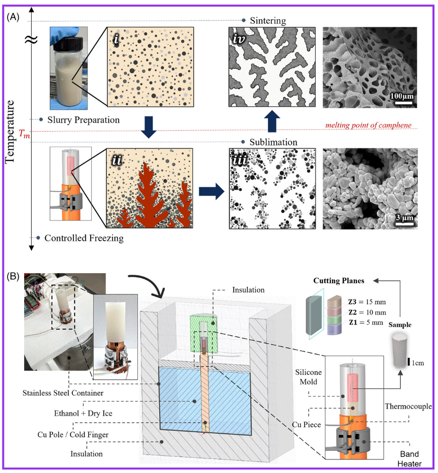 Graphical abstract